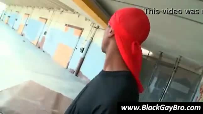 Cock sucking and horny black gay